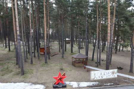 Внешний вид