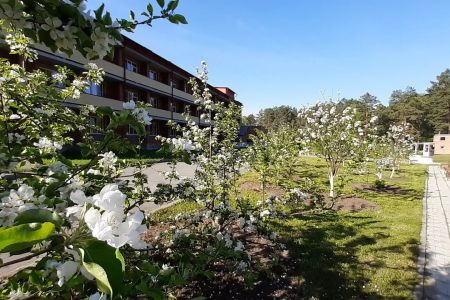 Внешний вид