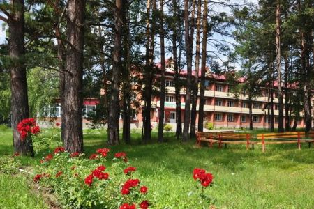 Внешний вид