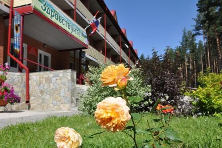 Внешний вид