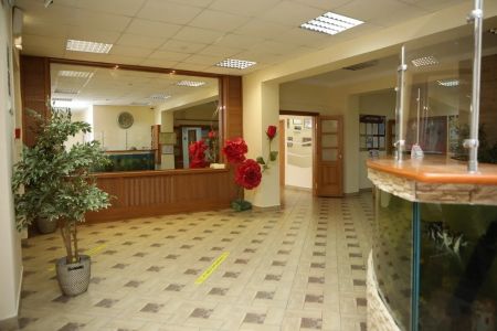 Внешний вид