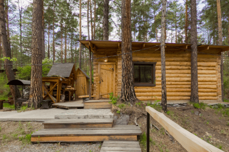 Внешний вид