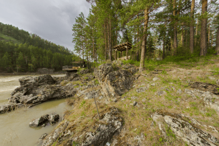 Внешний вид