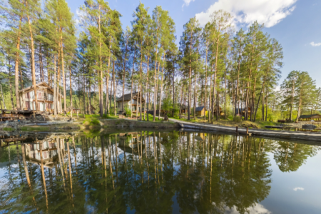 Внешний вид