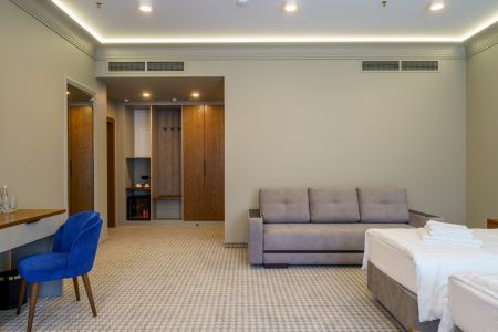 Люкс 2-местный