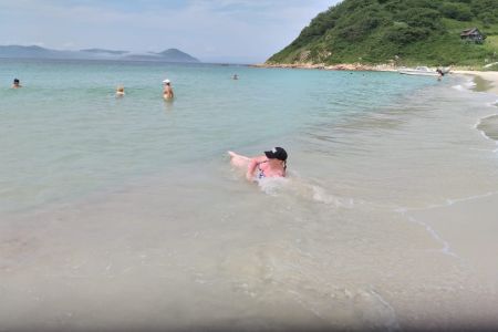 Внешний вид