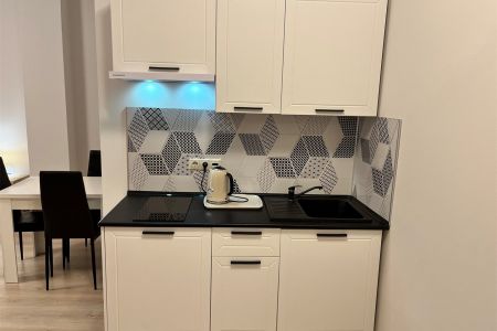 Студио Премиум 2-местный (с кухней и балконом)