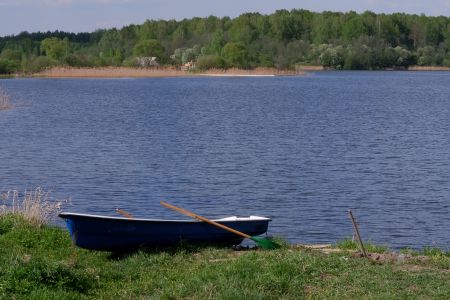 Территория