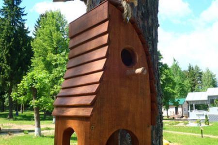 Территория