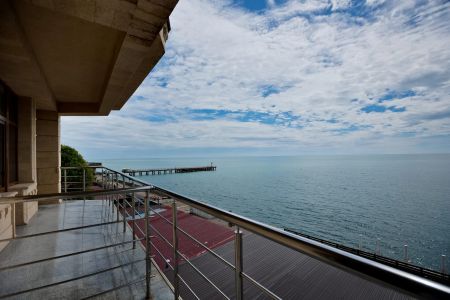 Внешний вид