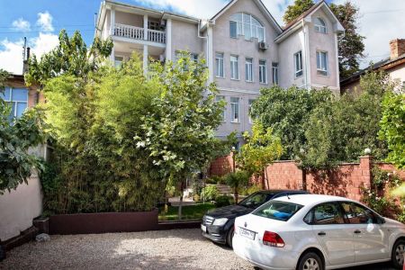 Внешний вид