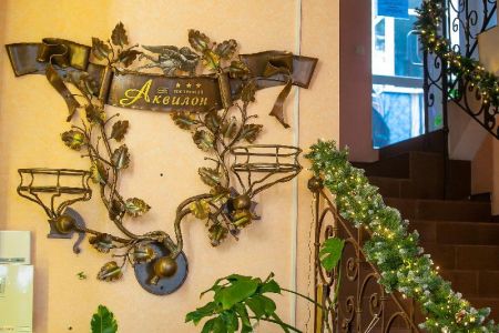 Внешний вид