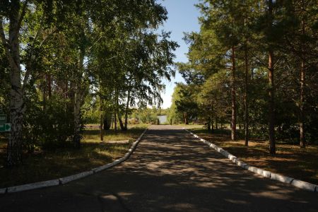 Внешний вид