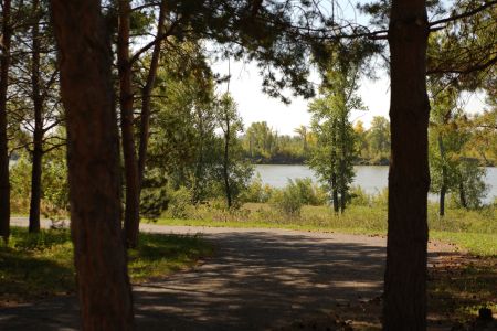 Внешний вид