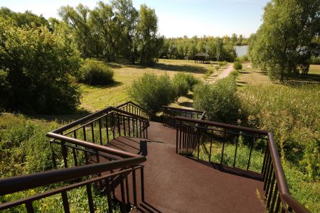 Внешний вид