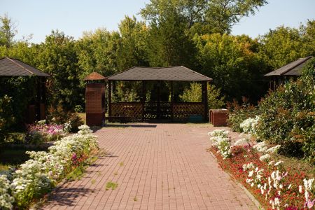 Внешний вид