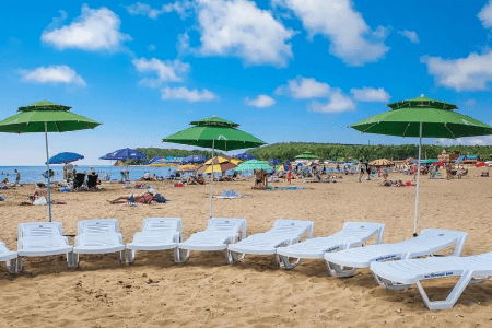 Внешний вид