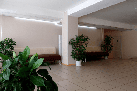 Ресепшен и холл