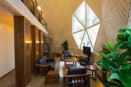 Внешний вид