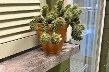 На Тимирязева