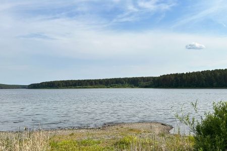 На Тимирязева