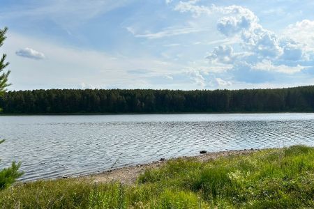 На Тимирязева