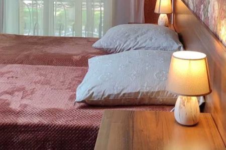 Супериор 2-местный (Violet)