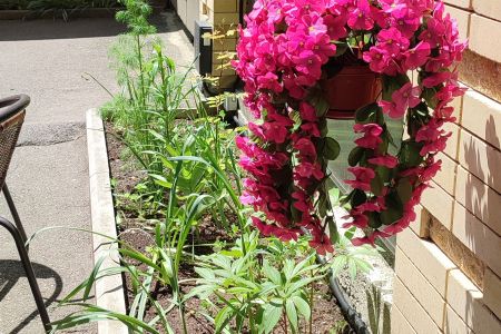 Территория