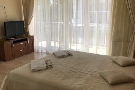 Полулюкс 2-местный 1-комнатный №1