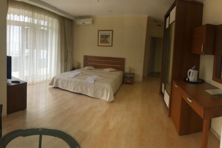 Полулюкс 2-местный 1-комнатный №1