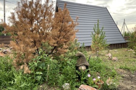 Территория