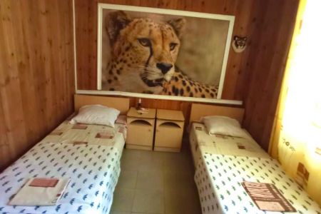 Внешний вид