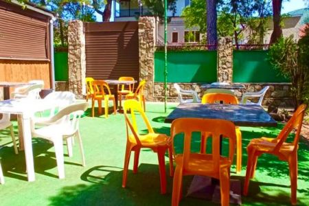 Внешний вид