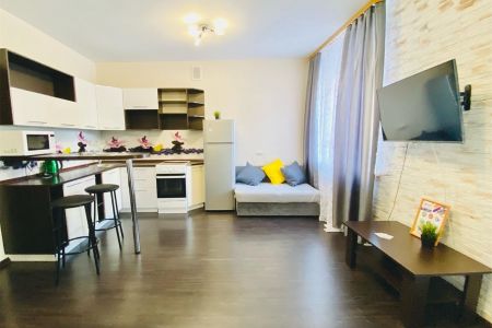 Апартаменты 1-комнатный (2 этаж)