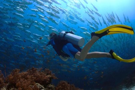 Эко-отель Кусто