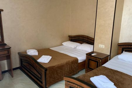 Полулюкс 2-местный