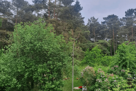 Апартаменты 4-местные 2-комнатные