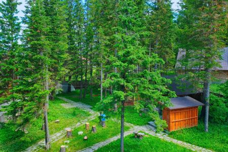 Внешний вид