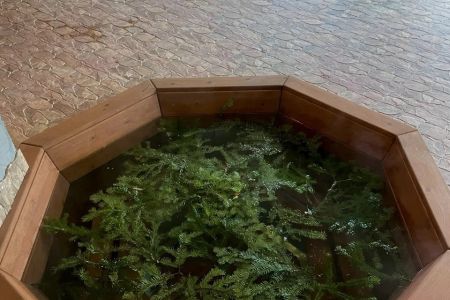 Мангальные зоны