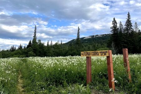 Внешний вид