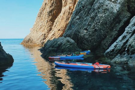 Внешний вид