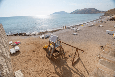 Внешний вид