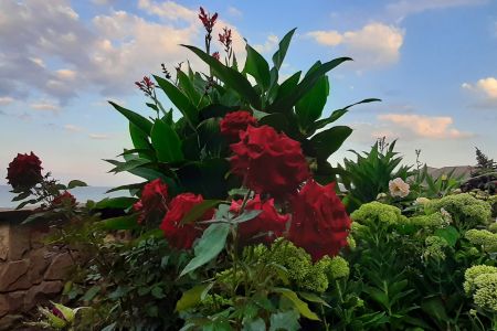 Территория