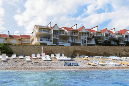 Внешний вид