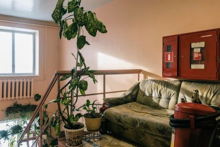 Место в 3-местном номере