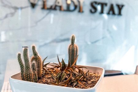 Внешний вид