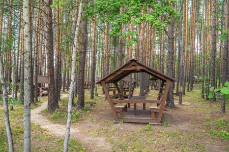 Внешний вид