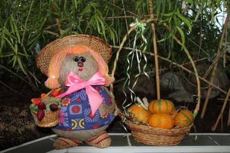 Внешний вид