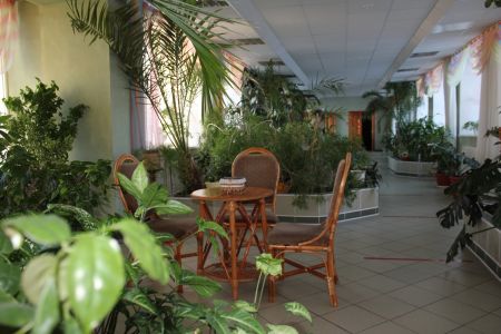 Внешний вид