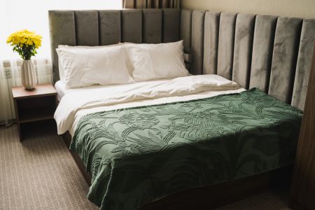 Люкс 2-местный (с видом на горы)